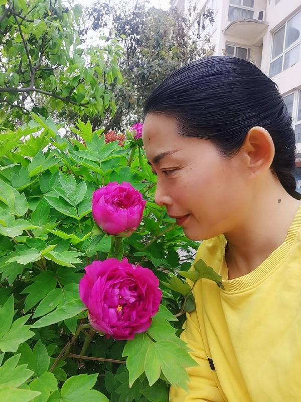 厚德载物的第一张照片--浙江上门女婿服务网